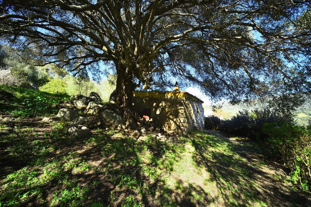 Lu Rotu Villa Sant'Antonio di Gallura Bagian luar foto