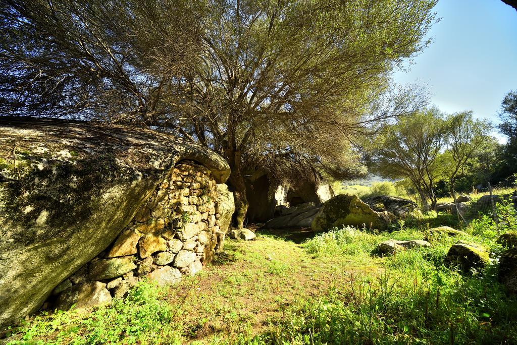Lu Rotu Villa Sant'Antonio di Gallura Bagian luar foto