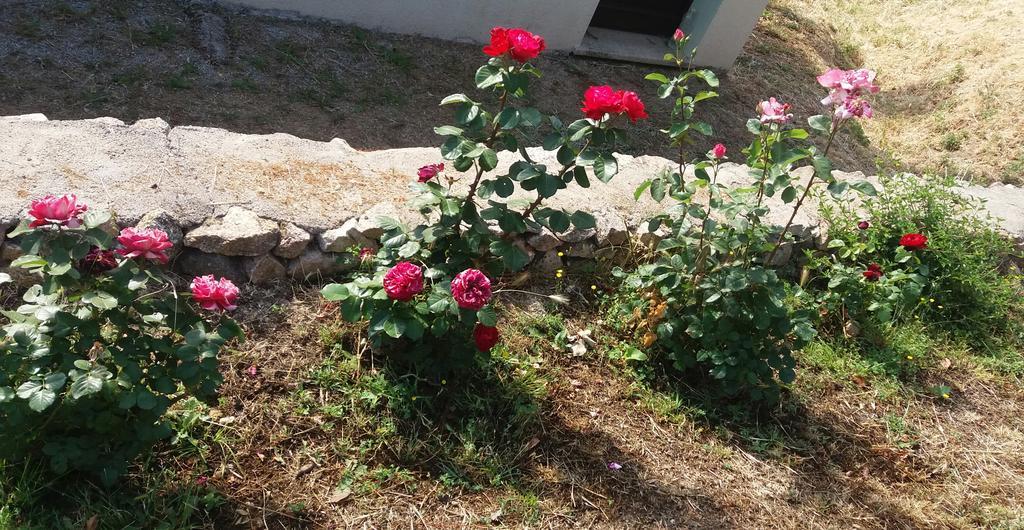 Lu Rotu Villa Sant'Antonio di Gallura Bagian luar foto